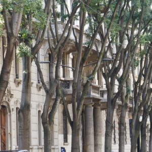 MIlano