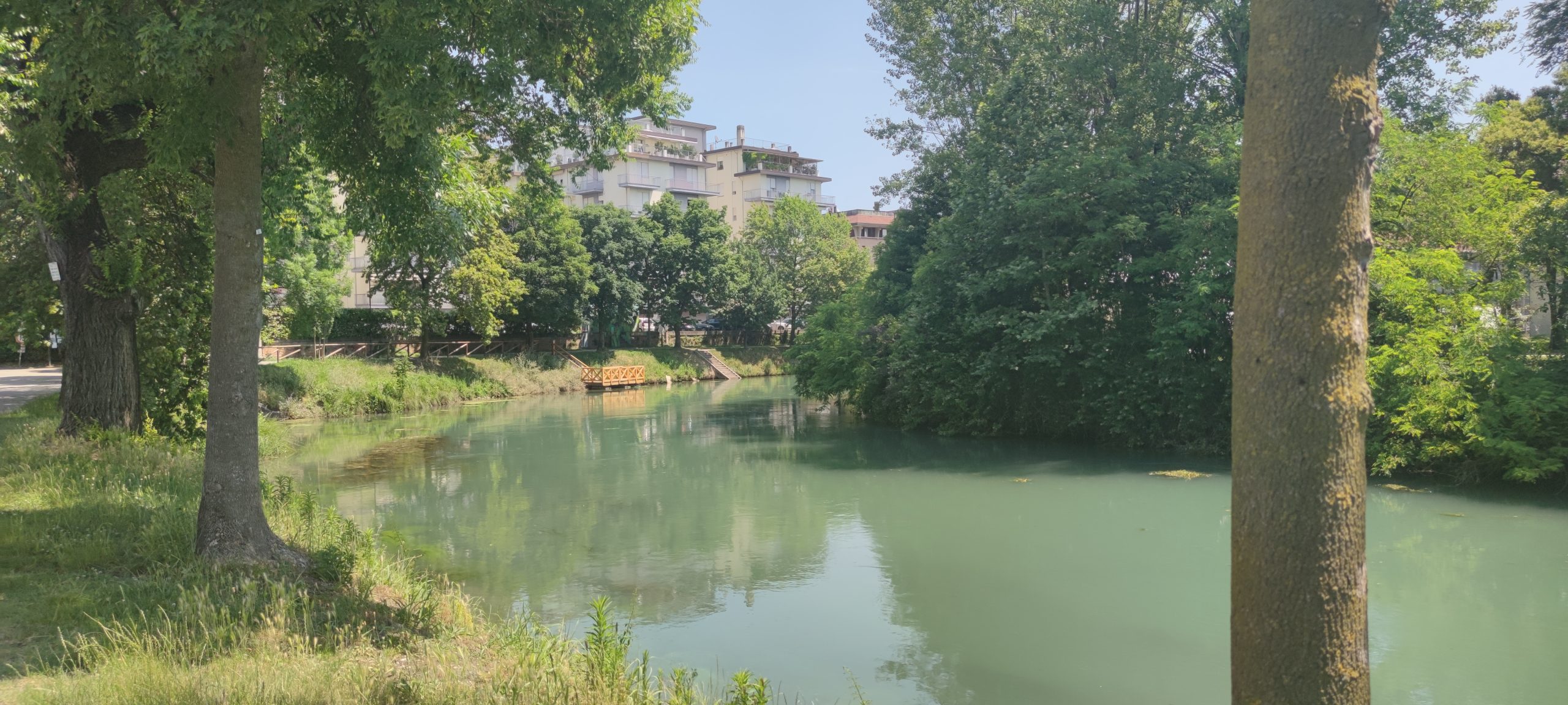 Treviso