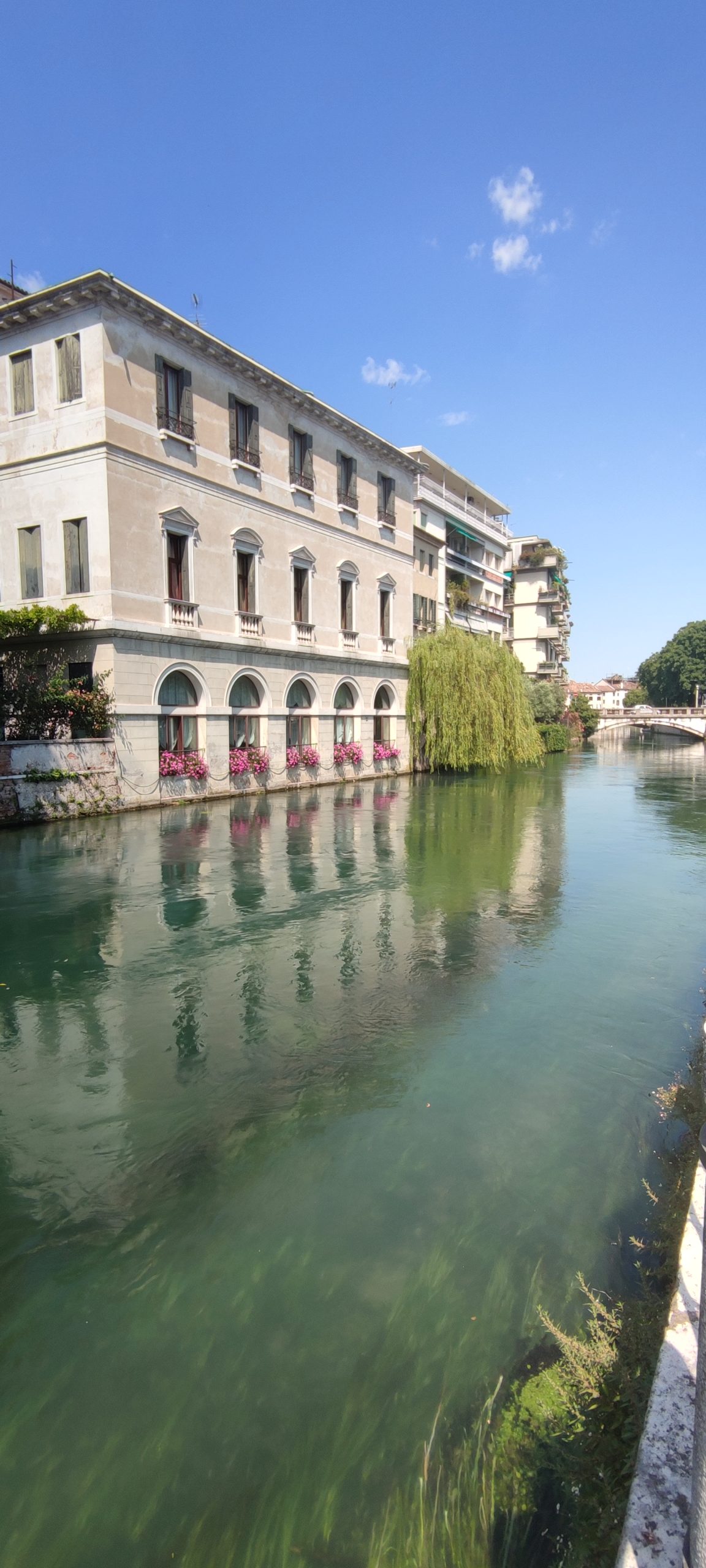 Treviso