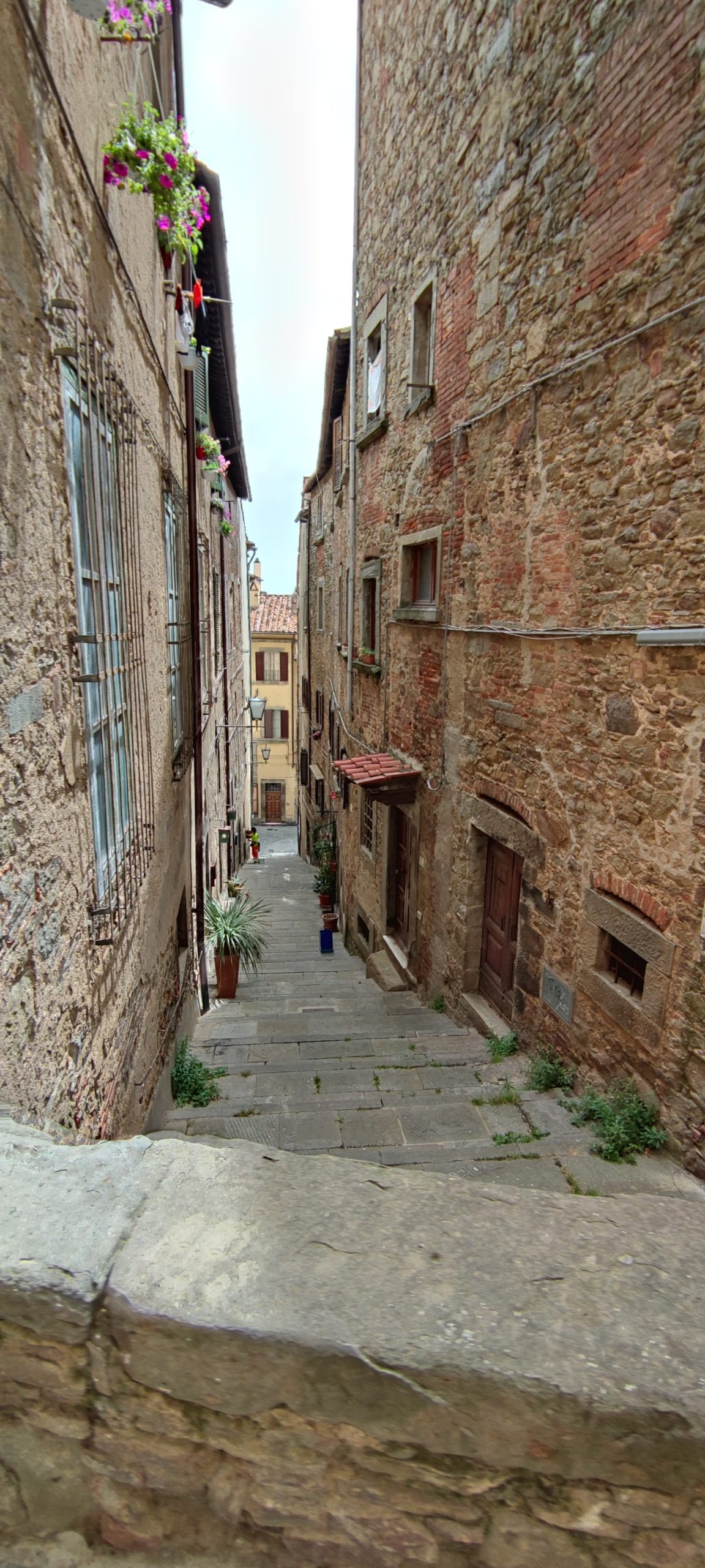 Cortona