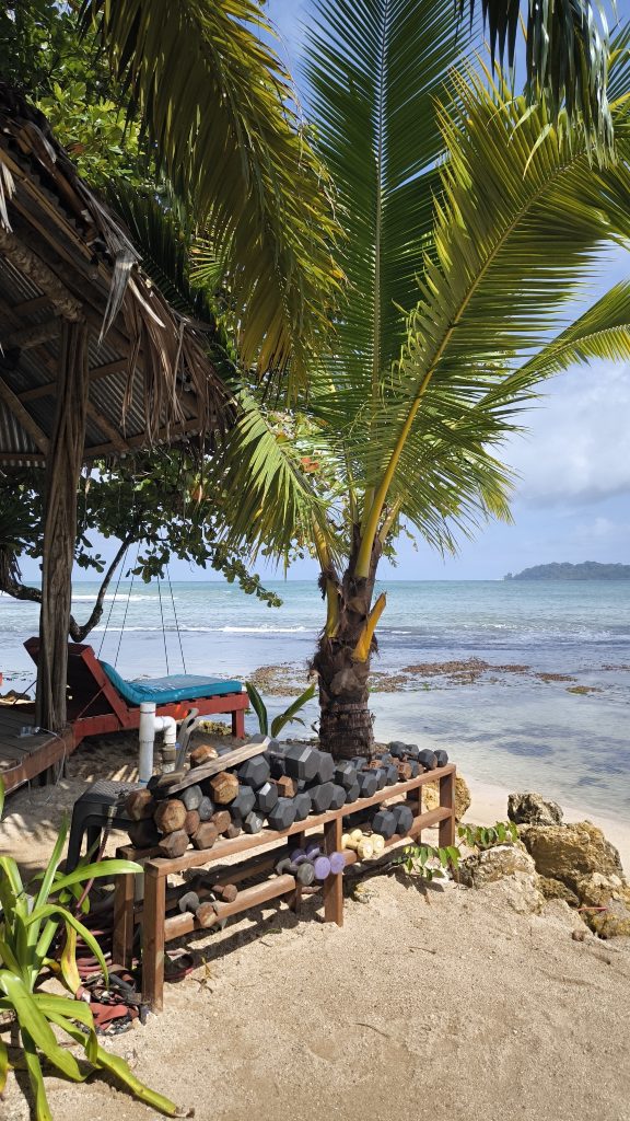 Bocas del Toro