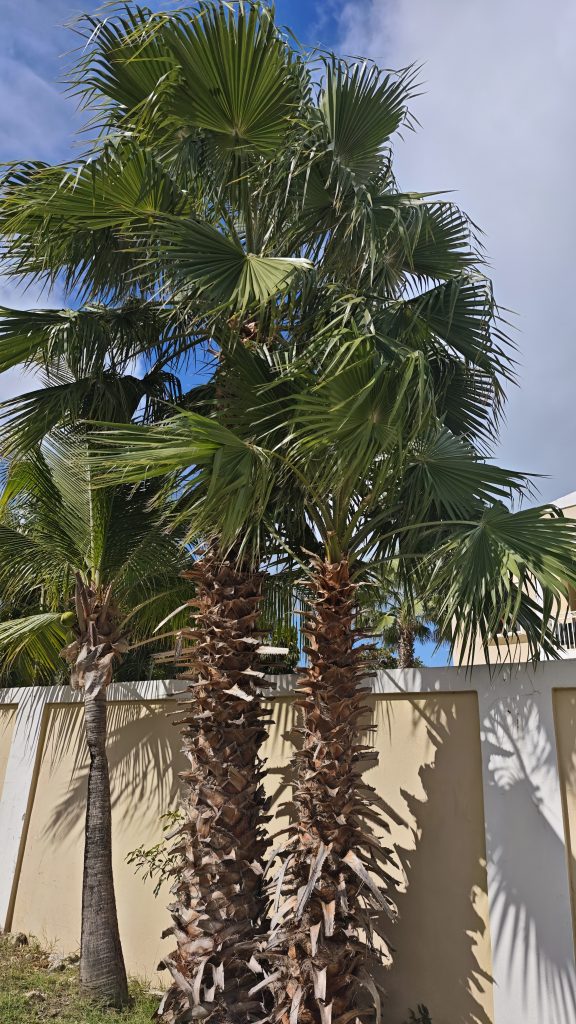 St Maarten